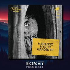 COMET PREMIERES: Mariusso - Toxic (Original Mix) [For Senses Records]