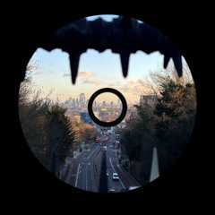 Dizoou - Riser