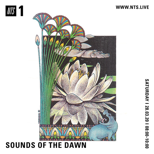 Sounds of the Dawn on NTS show 66