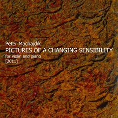 Machajdík  ​PICTURES OF A CHANGING SENSIBILITY [2011]