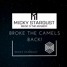 BROKE THE CAMELS BACK (Vocal Mix)