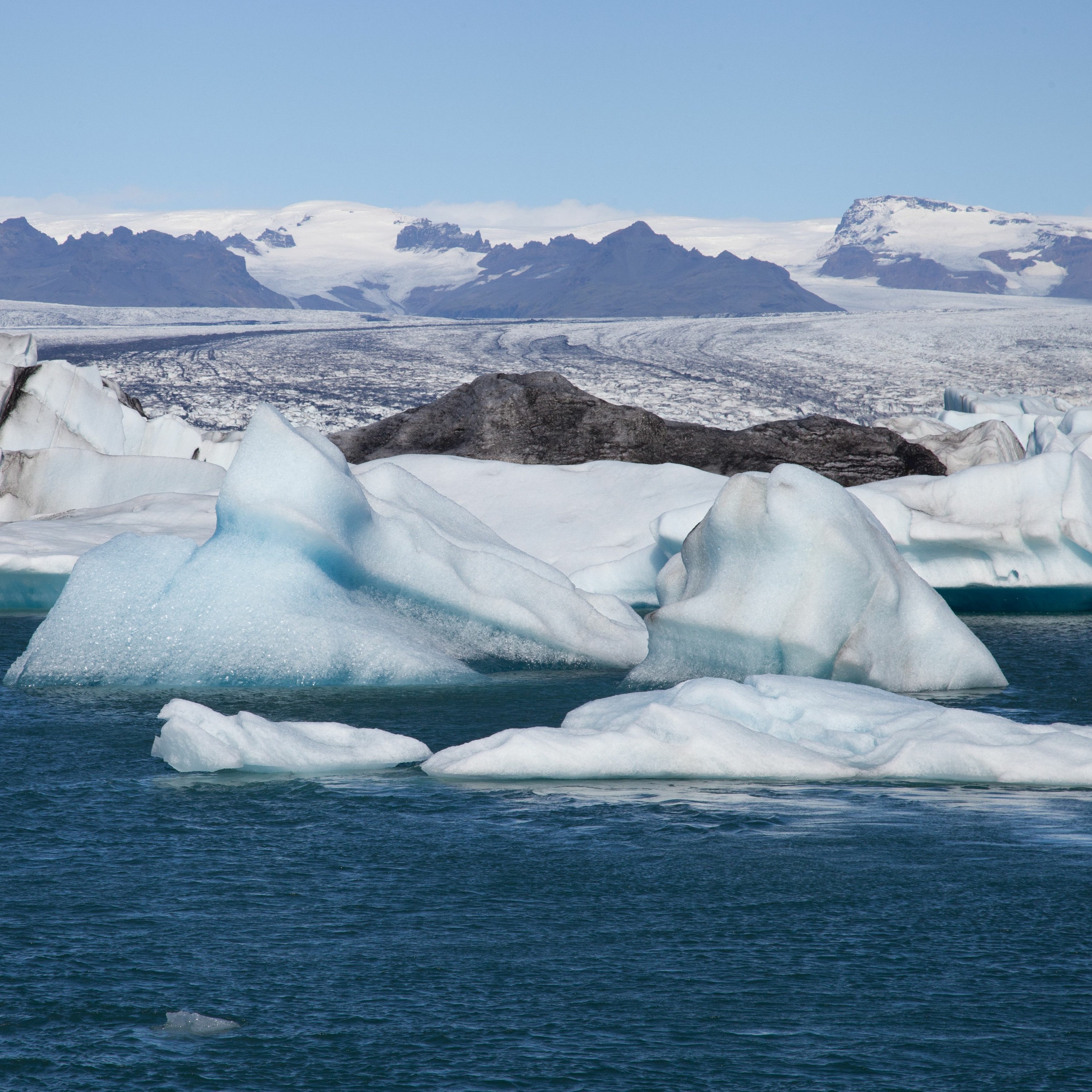 Greenwashing an Oil CEO, Sea Level Risk From Antarctica, A New Dinosaur and more episode artwork