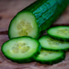 Song that might play when you fight a cucumber [cover? i thnk so maybe]