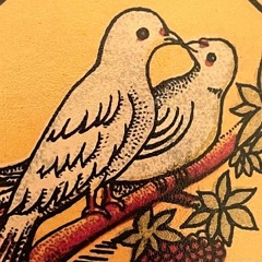 Explorations w/ Digging in India  261125