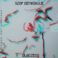 Szop Demaskuje - Dlaczego (Darknet Lab Remix)