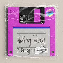 PREMIERE: Crowd Control & Vantage - Nothing Wrong