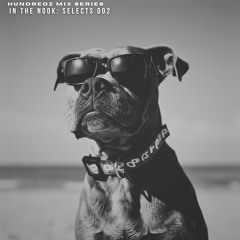 In The Nook: Selects 002