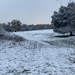 instrumental phonked house