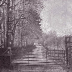 Another Dusty Trail of Tears