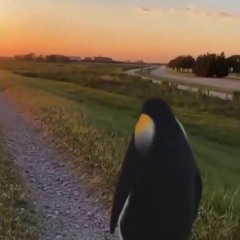Bro, i told you!! End of Sept, wake my ass up