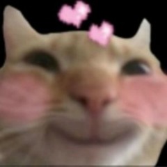 ECHO BOPS EVERRRRYDAAAY