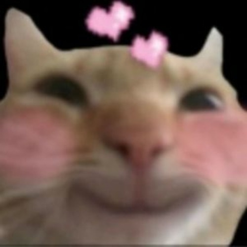 ECHO BOPS EVERRRRYDAAAY