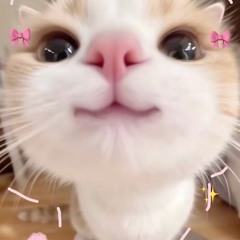 💖 Blink Blink 💖 Demo - Up đề phòng đến lúc out có ai ra vibe giống thì không mang tiếng đạo nhạc 🫶🏻💖