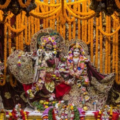 Bhajans By Goloknath Das At Prem Kirtan Mela Rohini 8.12.19