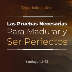 Tema | Las Pruebas Necesarias Para Madurar y Ser Perfectos