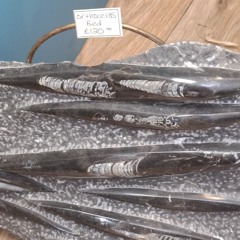 Serato Recording 380