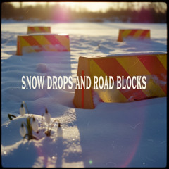 Snow Drops and Road Blocks