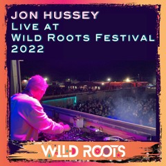 Jon Hussey - Live at Wild Roots Festival