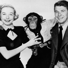 Even A Monkey