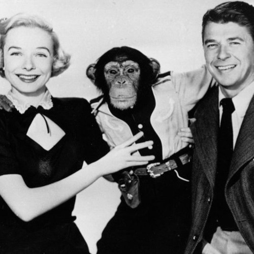 Even A Monkey
