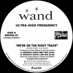 We're On The Right Track (Organic Disco LIRR Mix)