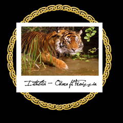 OD4R4 FT Froizzin - Itália