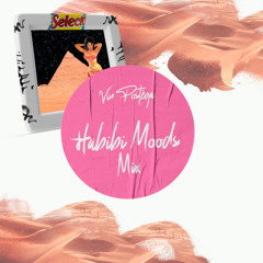 Habibi Moods Mix by Vin Postéga