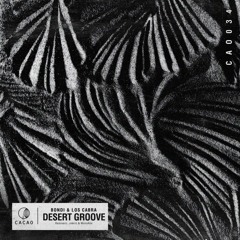 Desert Groove (JAMIIE Remix)