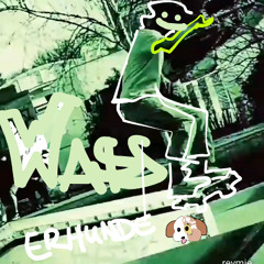 wasserhunde (dumme hunde)