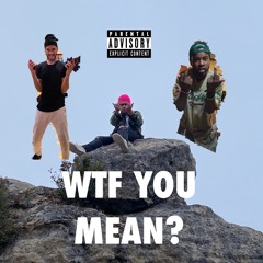 WTF YOU MEAN? (feat. Liø & Lil House Phone)