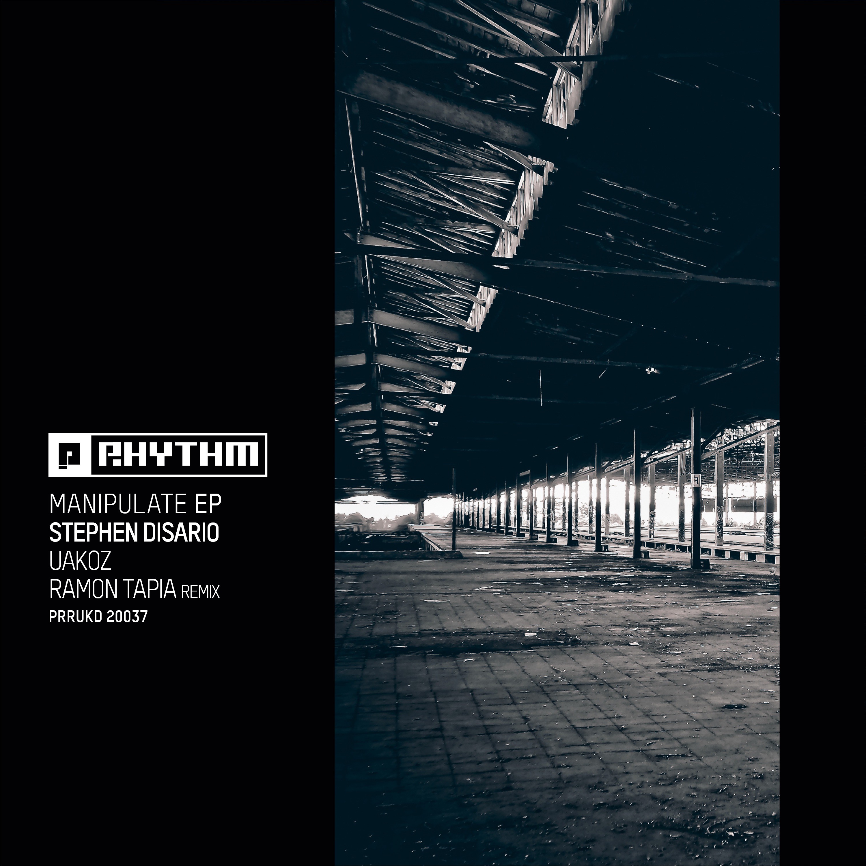 STEPHEN DISARIO