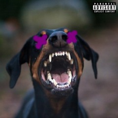 COMME D'HABITUDE (Ft. Phil Ok's)[Prod. Damien Alter]