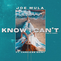 Know I Can't (feat. Carele$$ Saint)