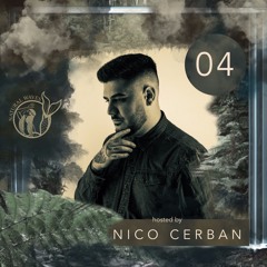 Nico Cerban - Natural Waves Podcast 04