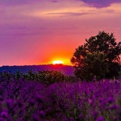 Latr3lle - credo di esserci moon rmx