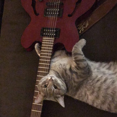 Springfield 2021 - 4:25:20, 11.49 AM