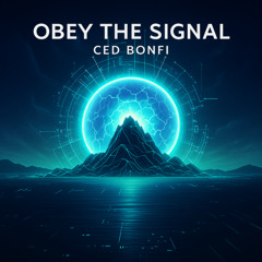 Obey the signal (Original Mix)