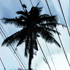 Rootkit - Life