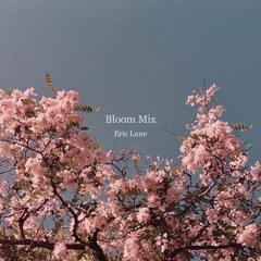 Eric Lune - "Bloom" Mix