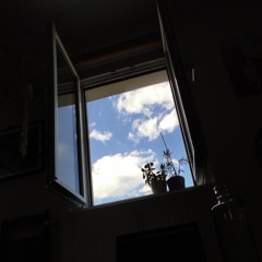 sunny afternoon at home
