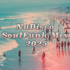 NuDisco Soulfunk Mix 2025 (downtempo, chill) 🎧