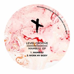 Level Groove - Mambuu (Original Mix)_TEC162