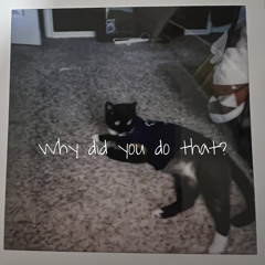 Why did you do that? (demo)