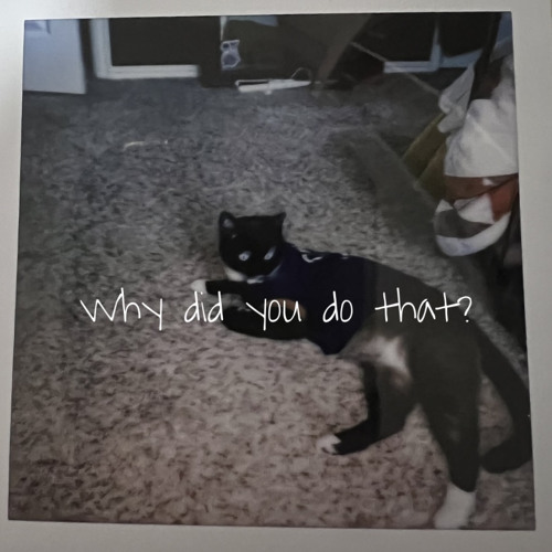 Why did you do that? (demo)