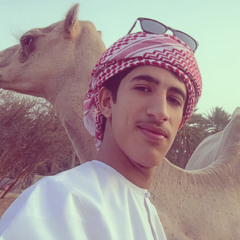 ‎⁨هجن||عيضة⁩.