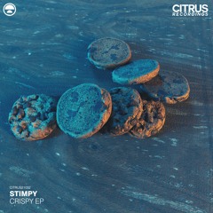 Stimpy - Ill Founded