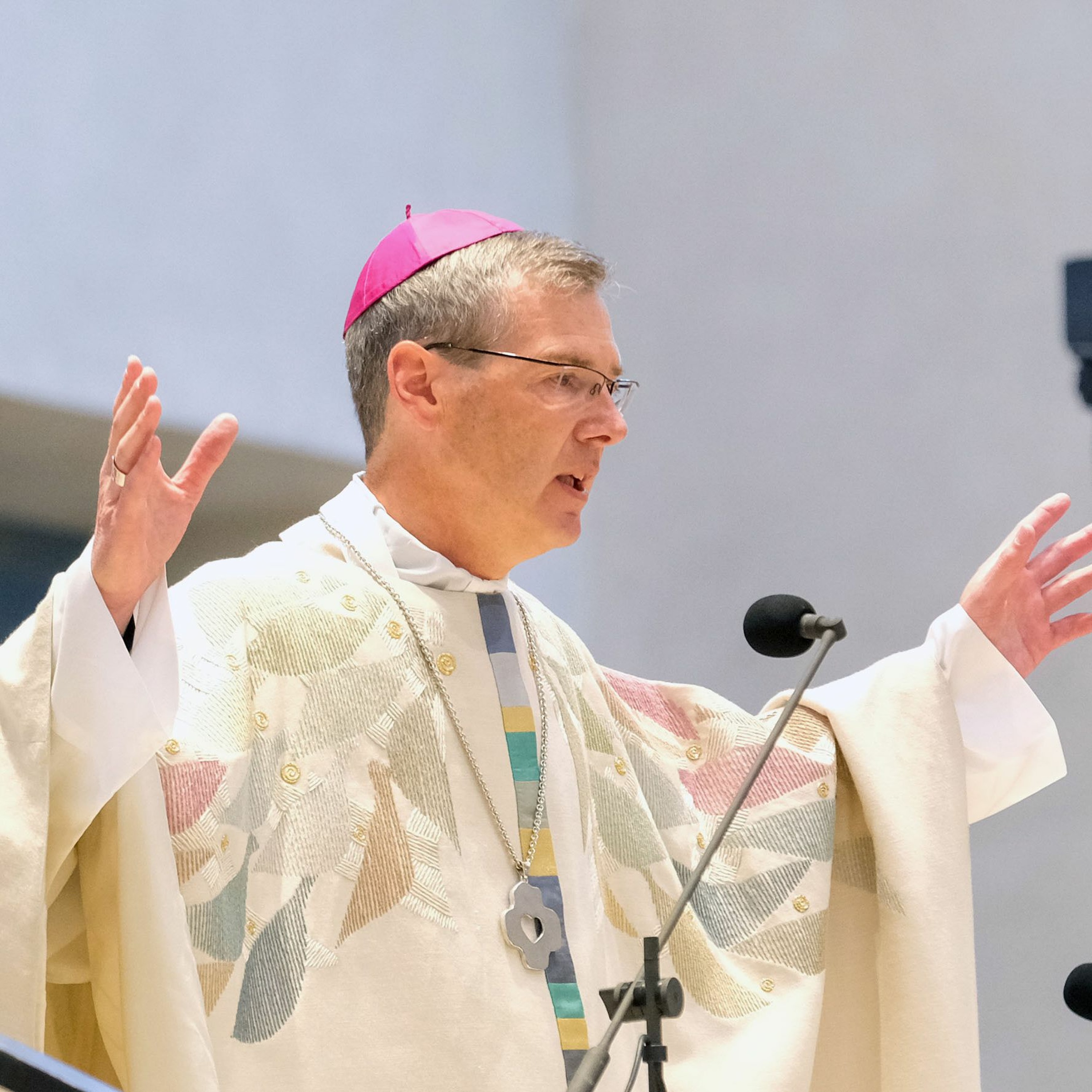 Predigten im Hildesheimer Dom