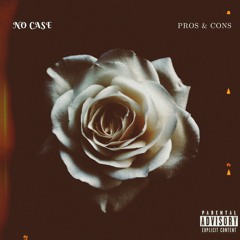 No Case - Pros & Cons