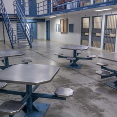 FREE DA GUYS