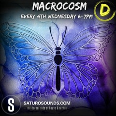 Macrosm January 2023